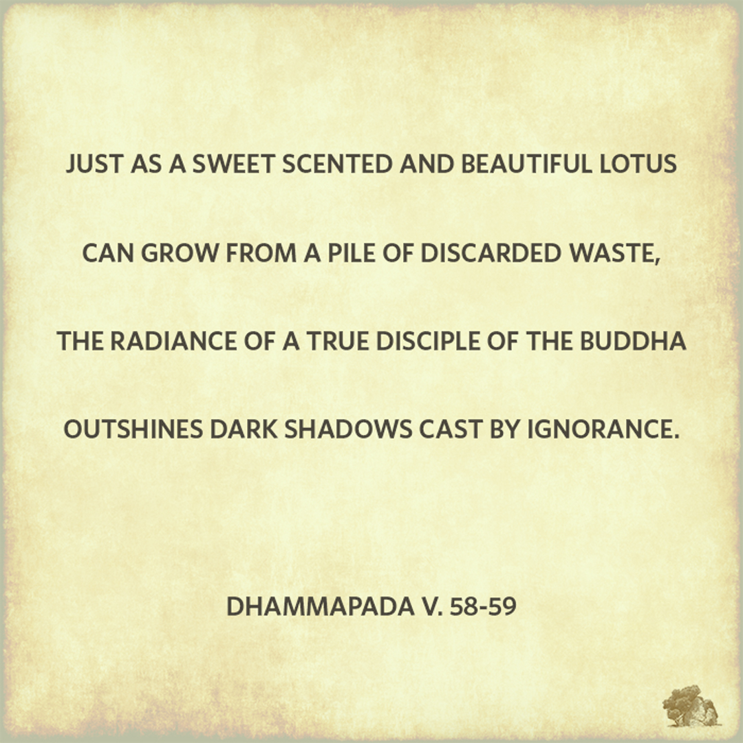 Dhammapada Quote