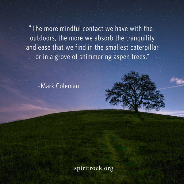 Mark Coleman quote